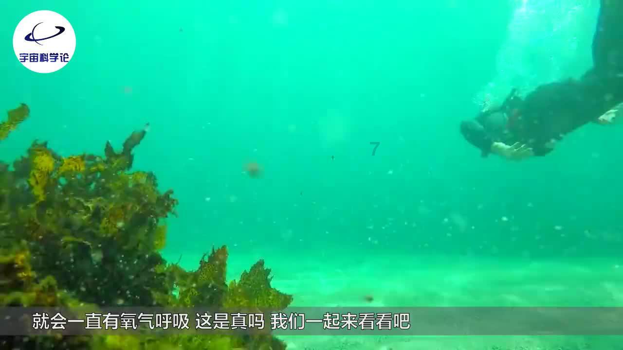 雷火官方网站入口